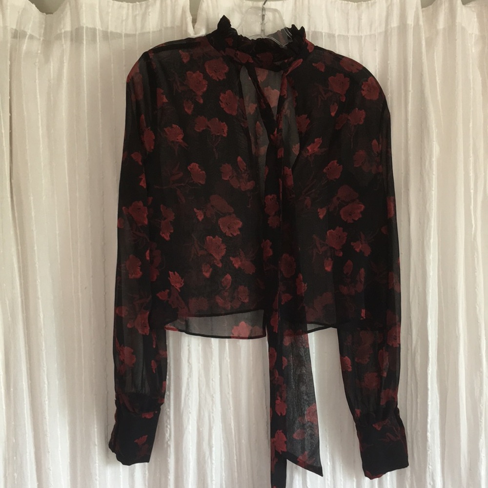 SALE Zara Sheer Blouse